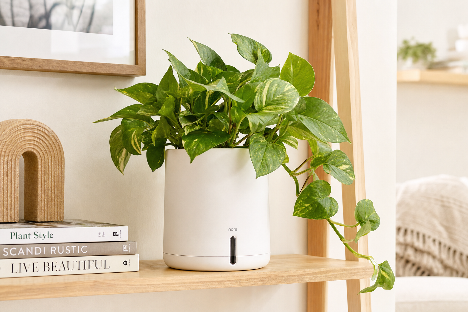 Self-Watering Indoor Planter